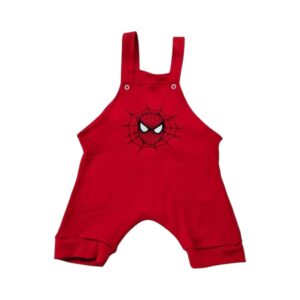 JARDINEIRA HOMEM ARANHA